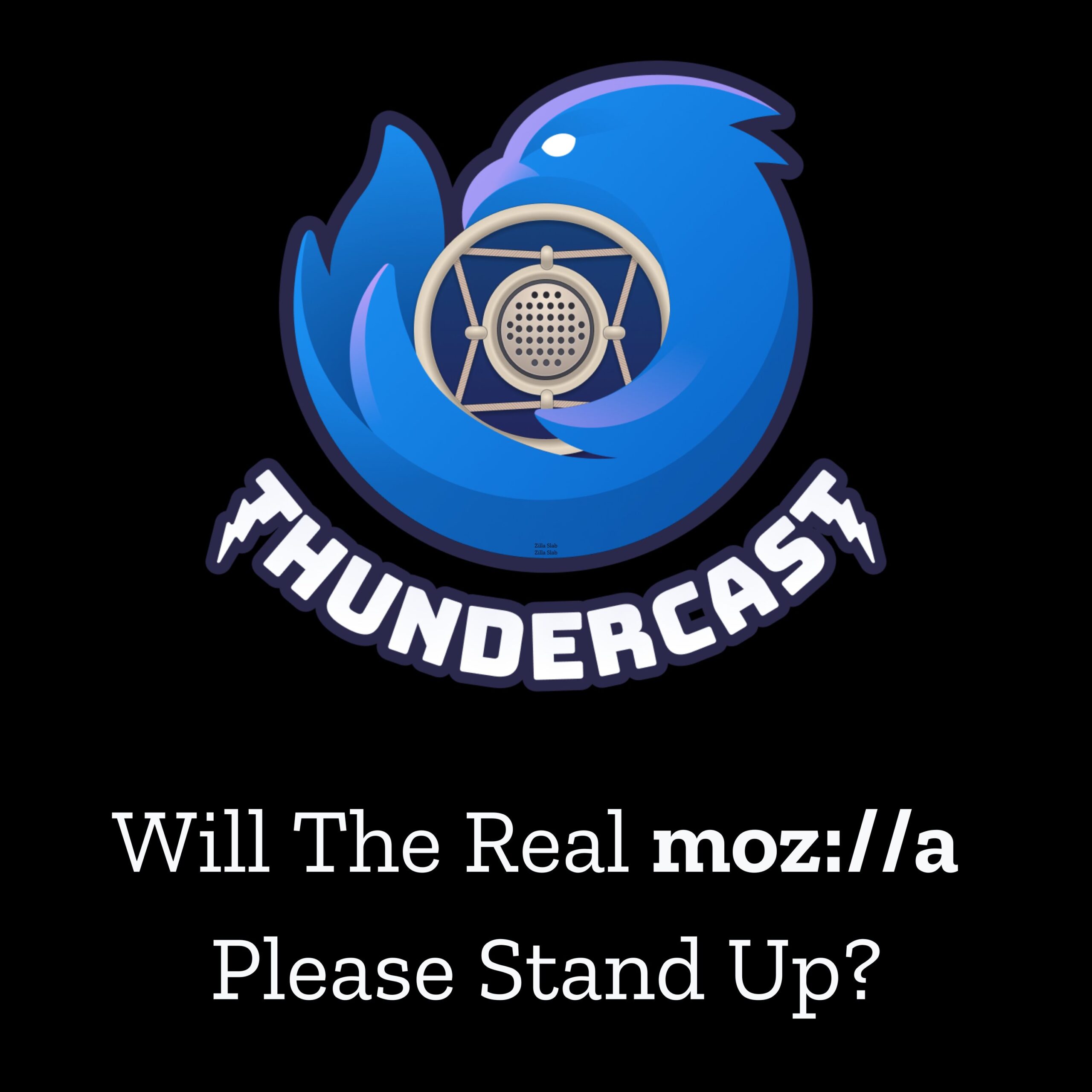 The Thunderbird logo is shown embracing a microphone. Underneath is the text "Will the real mozilla please stand up?"