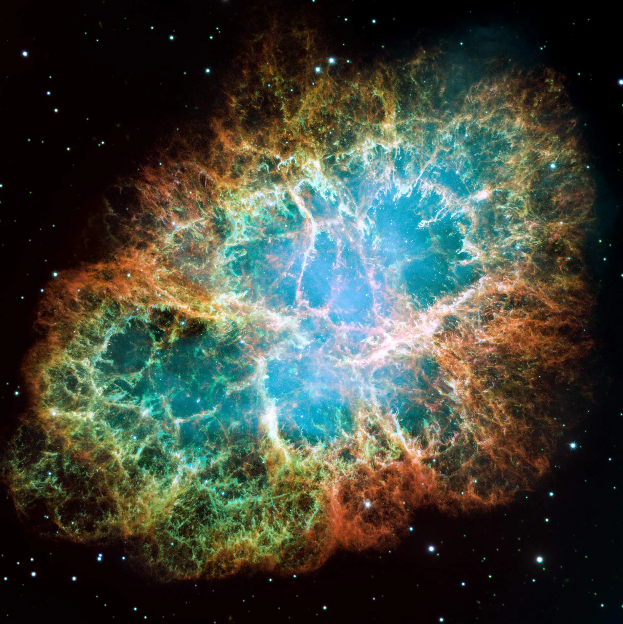 A photo of the Crab Nebula, courtesy of NASA